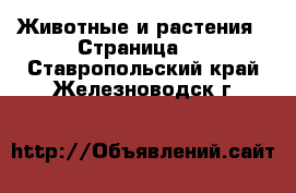  Животные и растения - Страница 6 . Ставропольский край,Железноводск г.